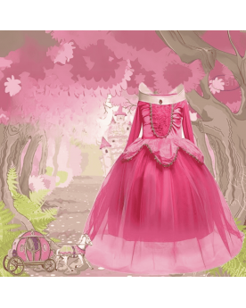 Princess Aurora children's costume - 14251