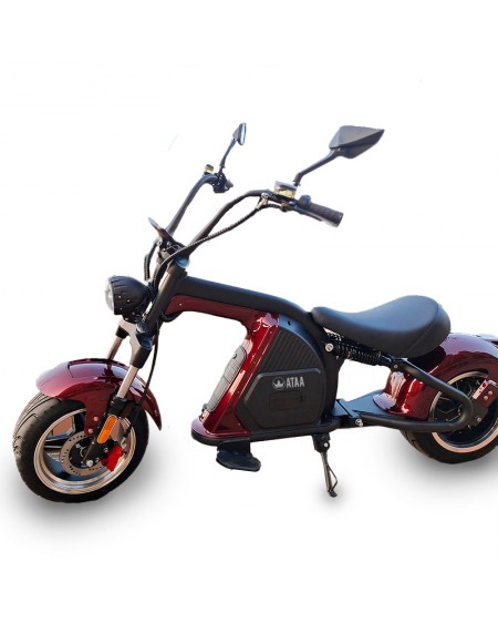 CityCoco ATAA M8 2000W enregistrable avec batterie 60v/20Ah