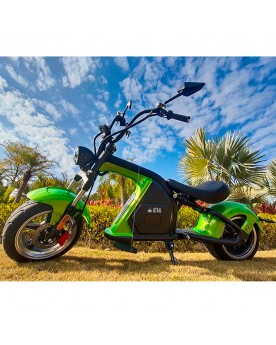 CityCoco ATAA M8 2000W enregistrable avec batterie 60v/20Ah - 4778